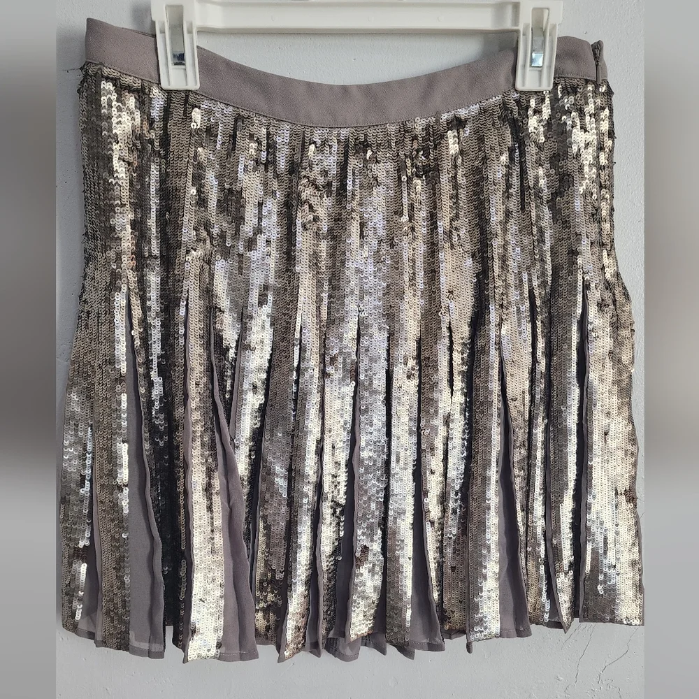 Banana Republic Silver Sequin Pleated A-Line Skirt - Picture 3 of 4